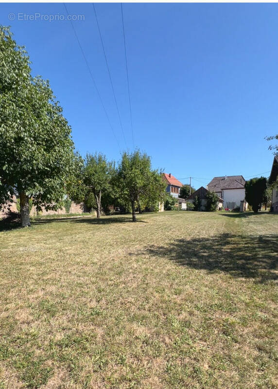 Terrain à OSENBACH