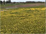 Terrain à ANGOULEME