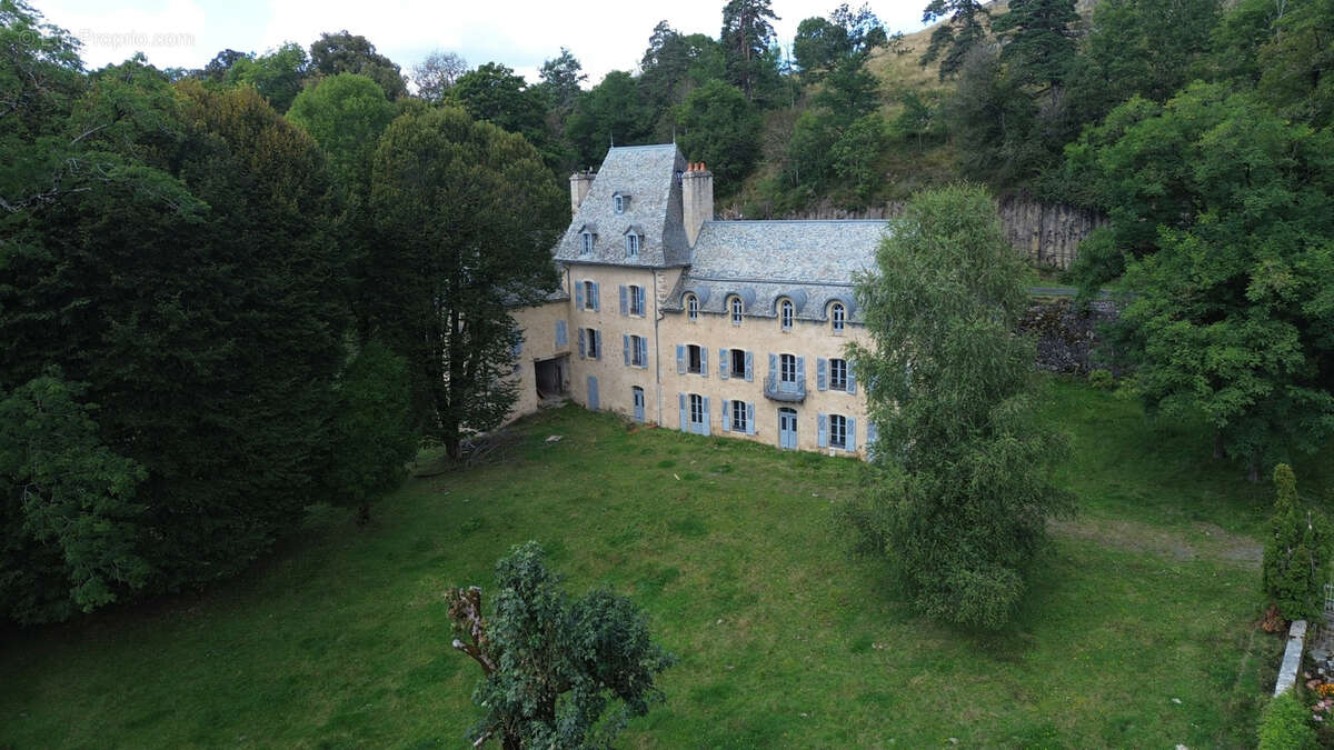 Château de Laguiole - photo 9