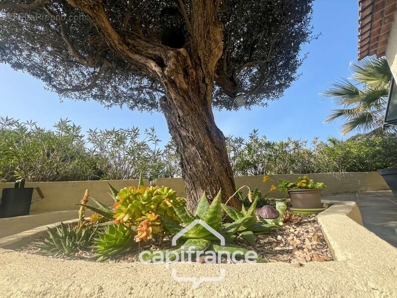 Maison à LE LAVANDOU