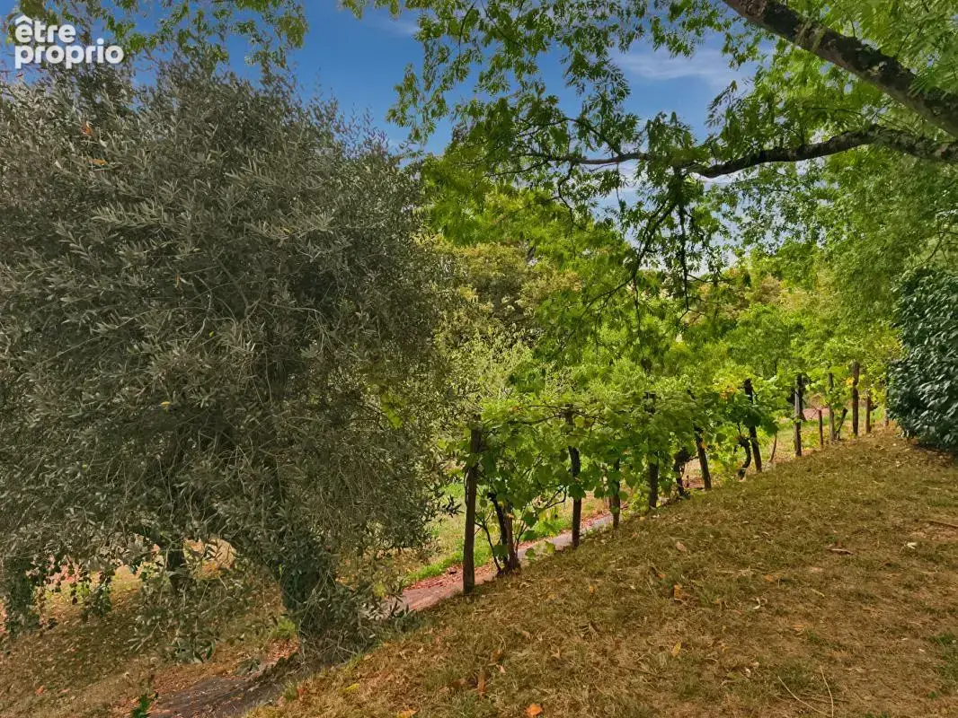 Villa d'architecte 162 m2, 2 ha terrain et bois - photo 7