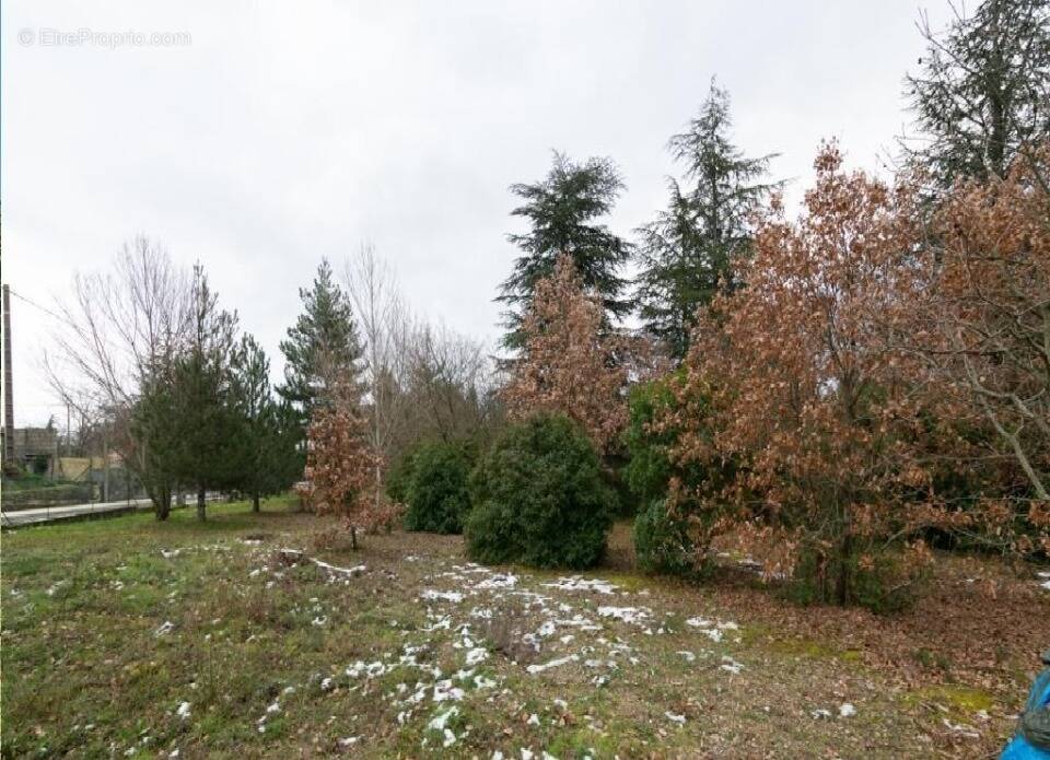 Terrain à VILLARDONNEL