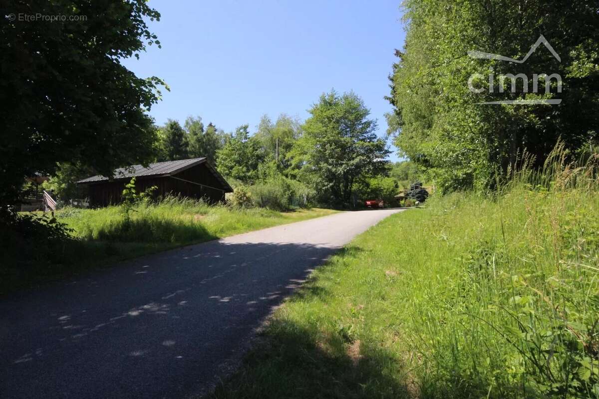Grand terrain - photo 8