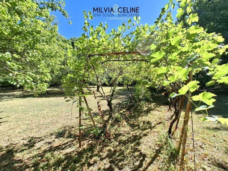Propriete à vendre 32 pièces proche de CARCASSONNE (11) 2 habitations 522m2+ parc 2,82 hectares + dépendances - photo 18