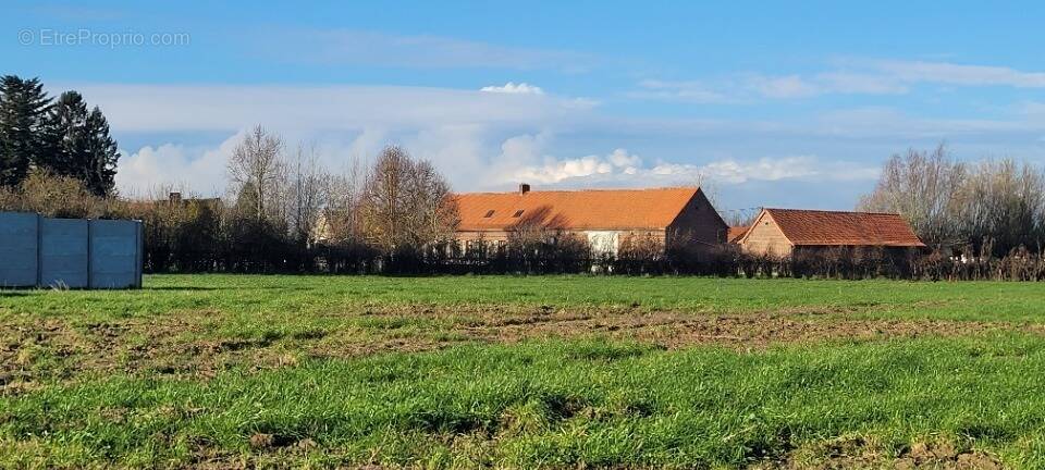 Terrain à NORTKERQUE