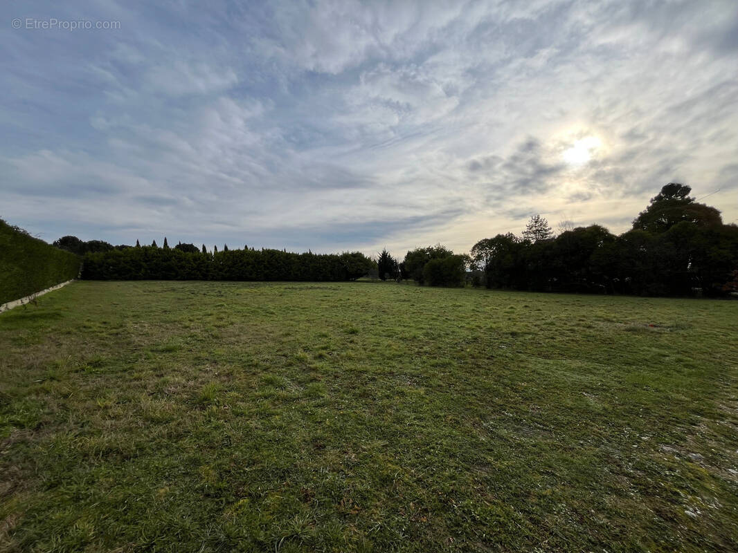Terrain à NERAC