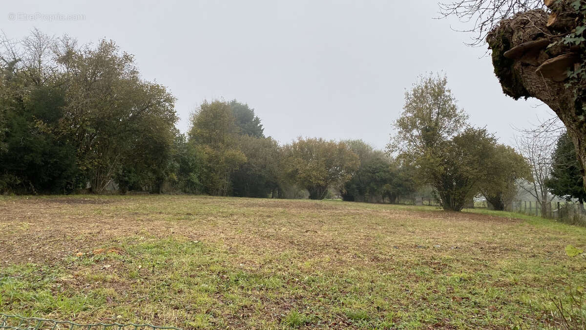 Terrain à MAGNAC-BOURG