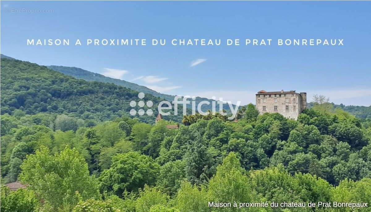 Demeure traditionnelle - photo 8