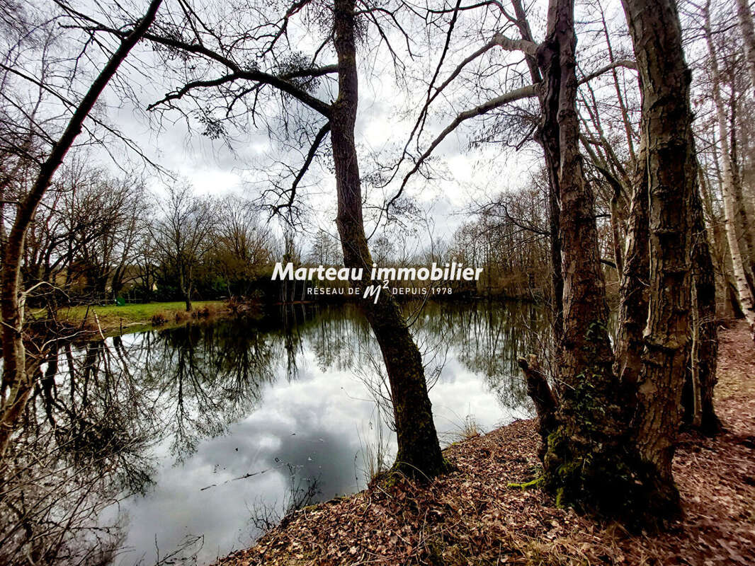 Terrain à YVRE-L'EVEQUE