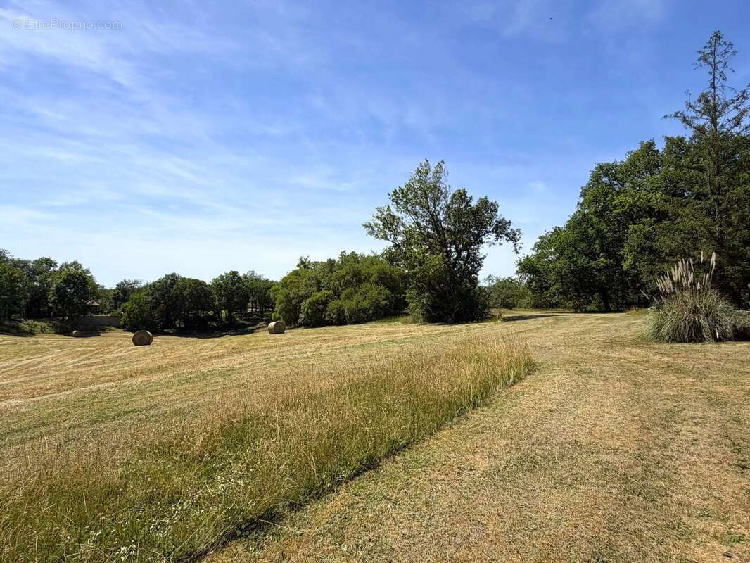 Propriété de caractère avec maison principale, annexes et piscine sur plus de 4,7 ha - photo 16