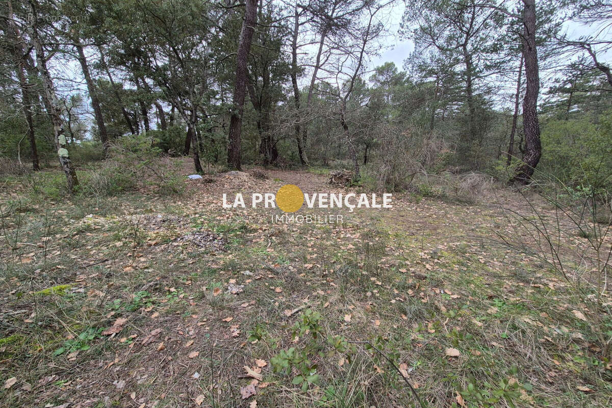 Terrain à NANS-LES-PINS