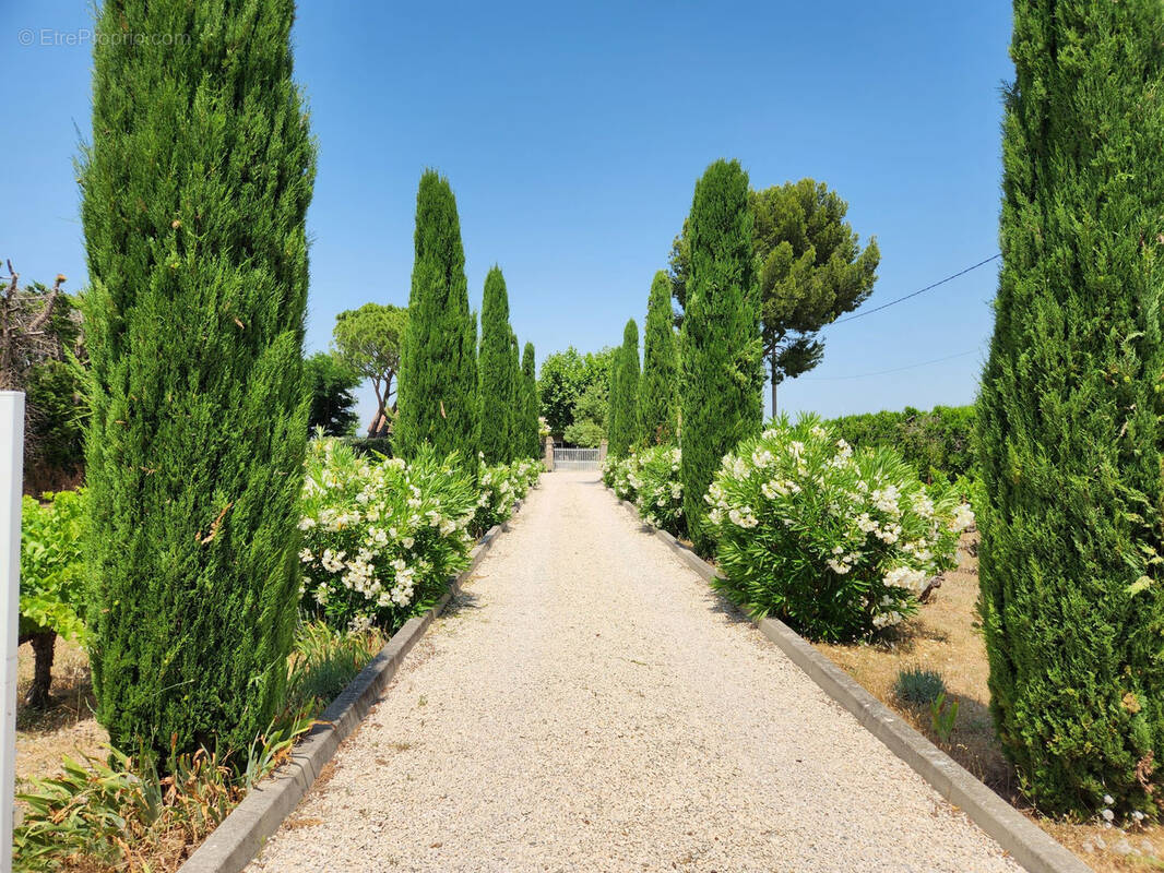 Maison à VACQUEYRAS