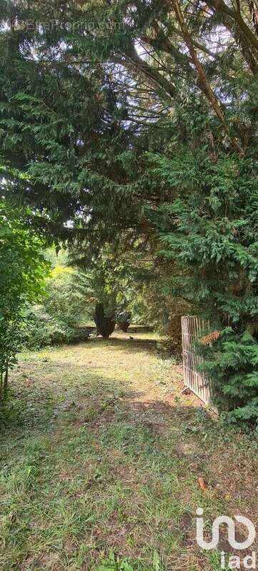 Photo 9 - Terrain à DERNANCOURT