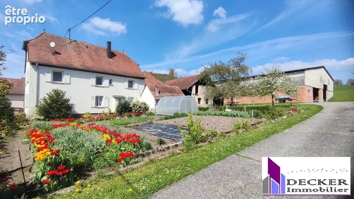 Maison à ZINSWILLER