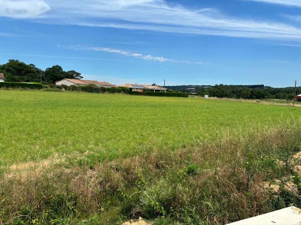 Terrain à SAINT-GAUZENS