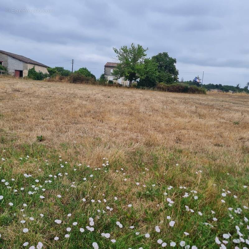 Terrain à COUTRAS