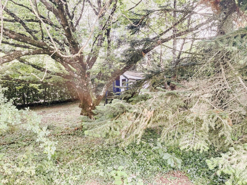 01160 PRIAY : Magnifique Maison de Maître de Plus de 300 m2 avec Vue Imprenable - photo 4