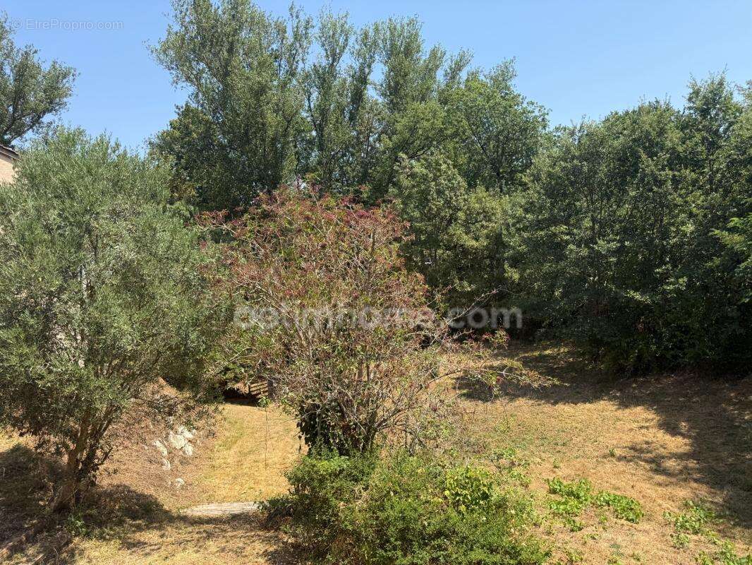 Maison familiale 145 m² – Piscine – 2 200 m² de terrain – 20 min Toulouse - photo 6