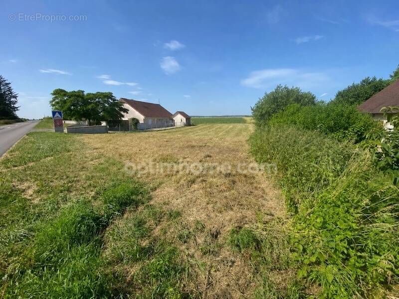 Terrain à MOLAY