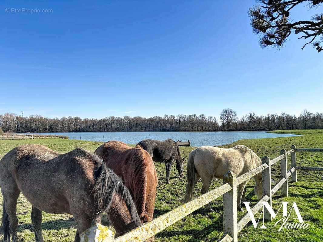 Maison à LE PLANTAY