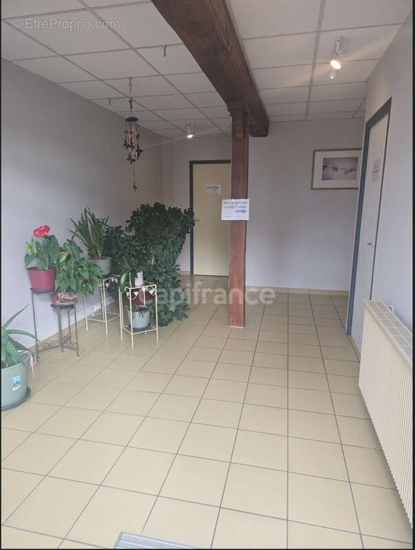 Appartement à PIERRE-DE-BRESSE