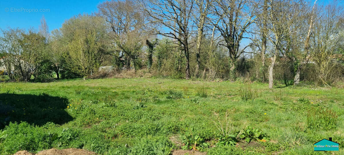 Terrain à SAINT-ETIENNE-DE-MER-MORTE