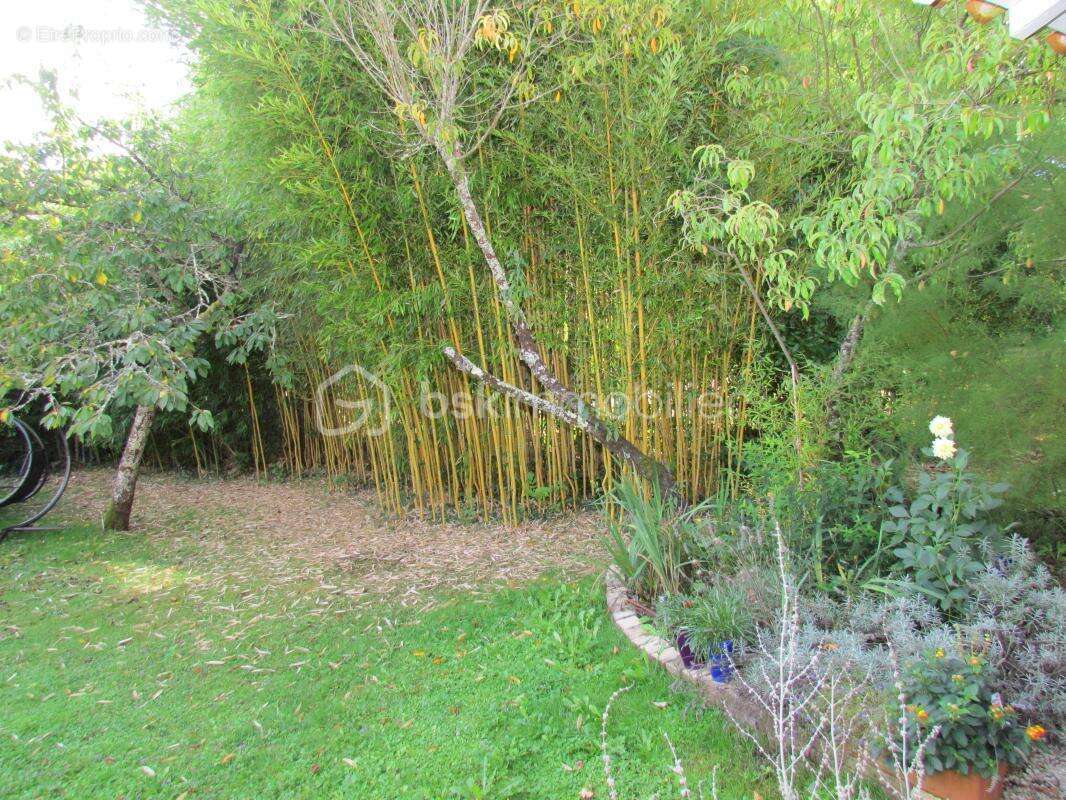 Coup de coeur !!  à mensignac (24350) près perigueux ,maison perigourdine de 223 m² - photo 6
