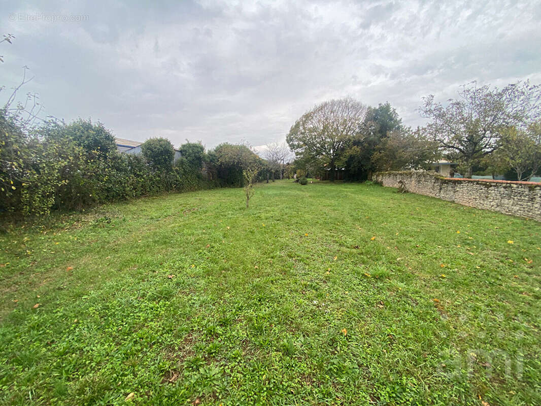 Terrain à NIORT