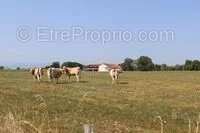 Maison à SAINT-PLANCARD