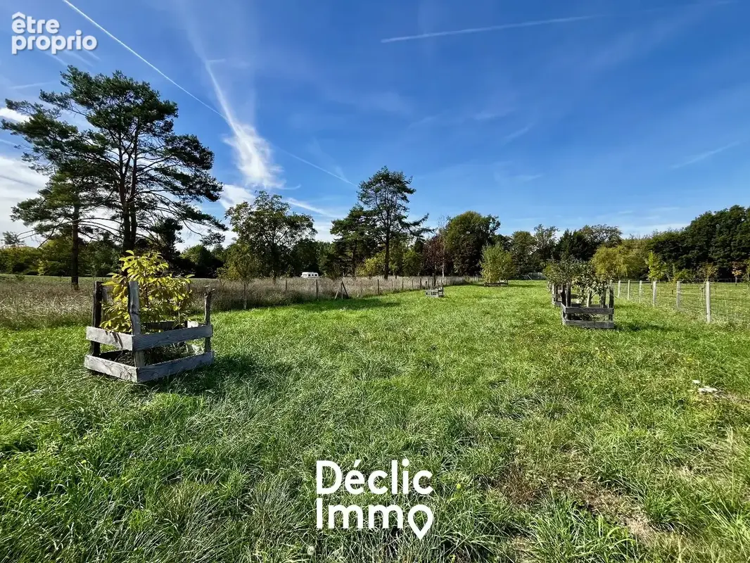 Maison Econome de 2019 - photo 3