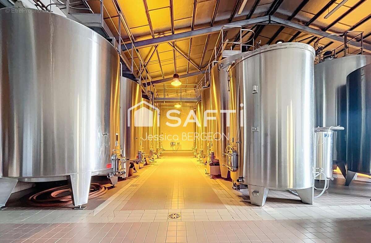 Photo 7 - Maison à VILLEGOUGE