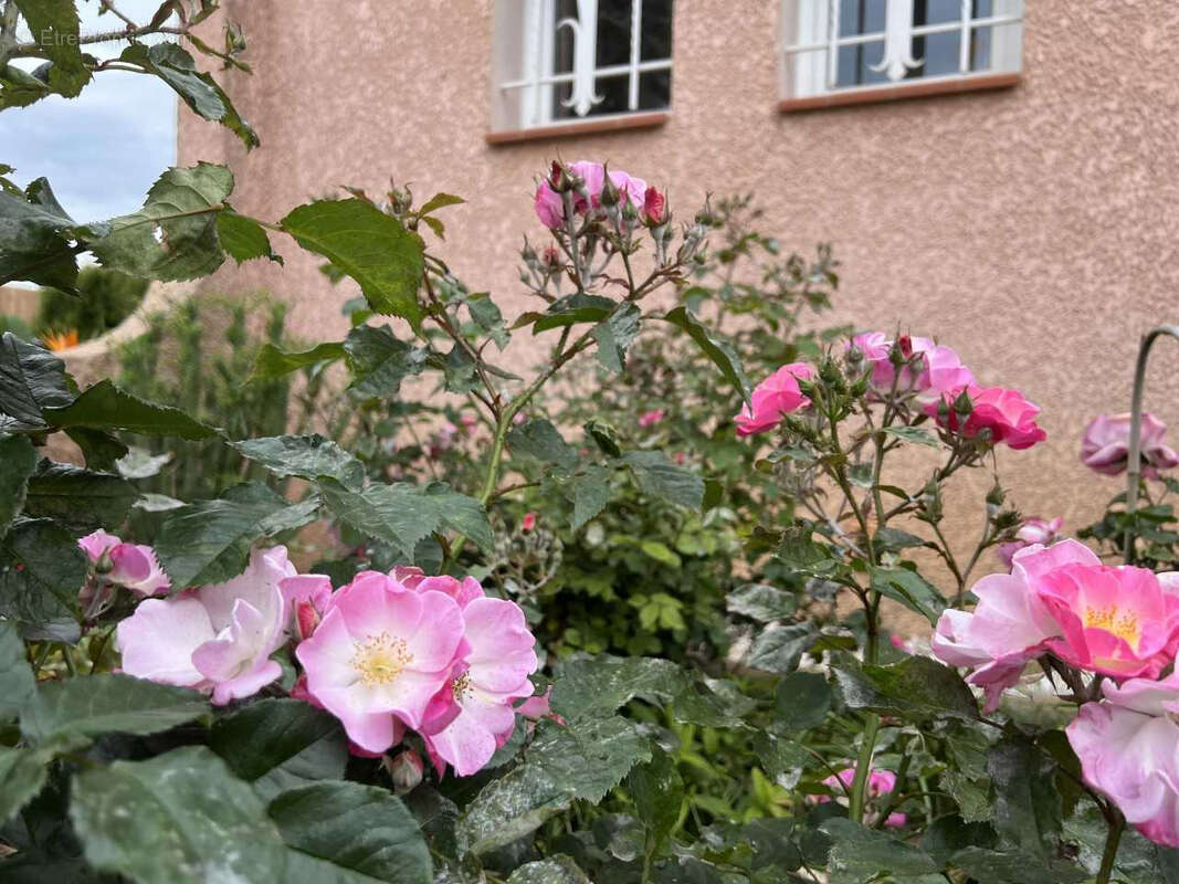 Maison à TORREILLES