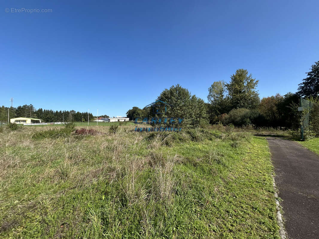 Immeuble de 3385 m2 - photo 12