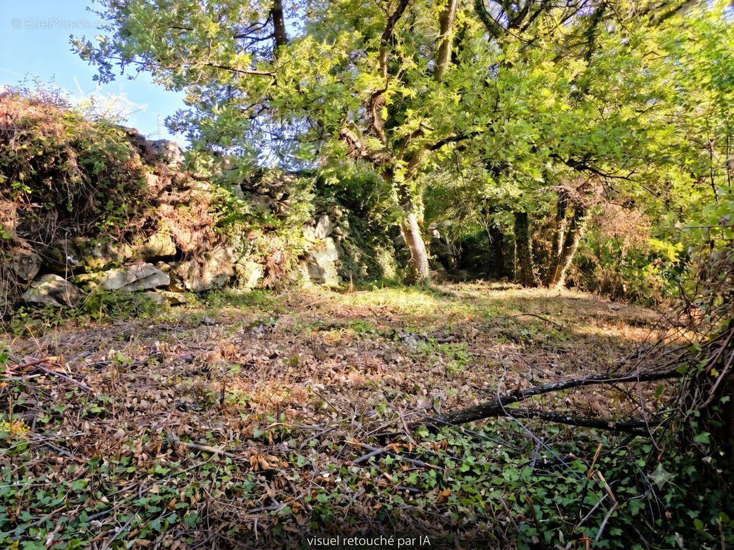 Terrain 505 m² à Coux  - photo 2