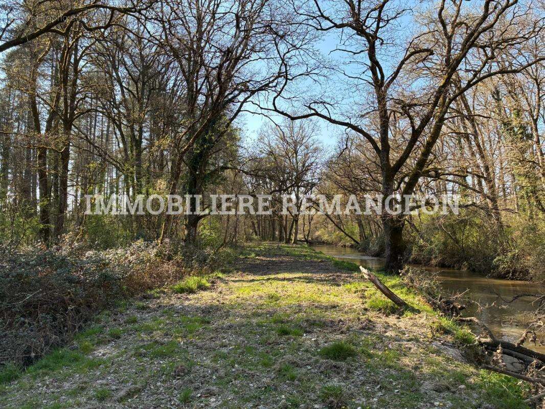 Maison à LAMOTTE-BEUVRON