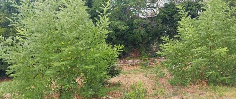 Terrain à MONTPELLIER