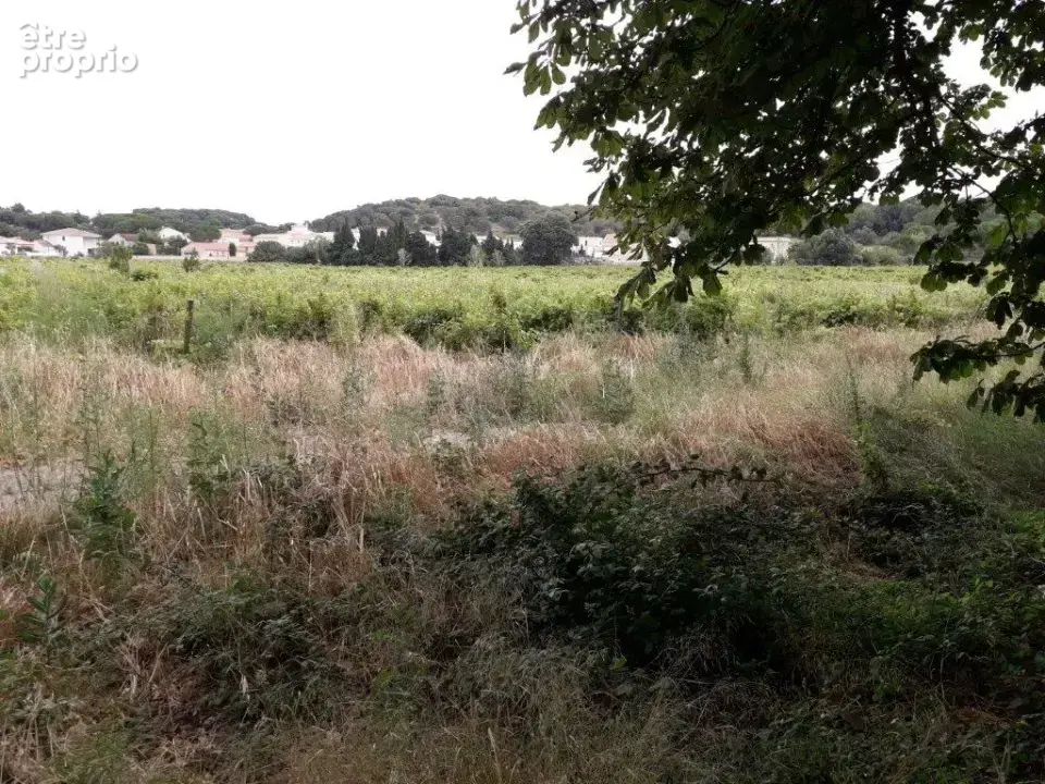Terrain à SAINT-LAURENT-DE-LA-CABRERISSE