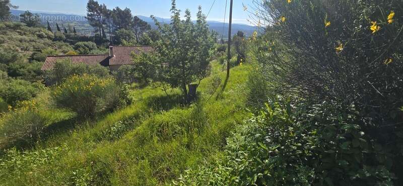 Terrain à SOLLIES-VILLE