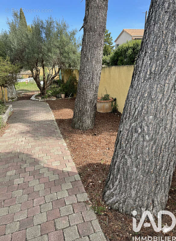 Photo 3 - Maison à VELAUX