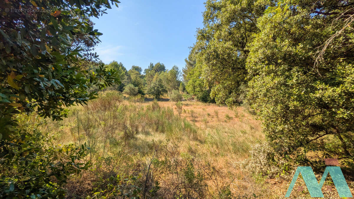 Mas provençal 3 pièces 80m2 avec 1ha en campagne - photo 4
