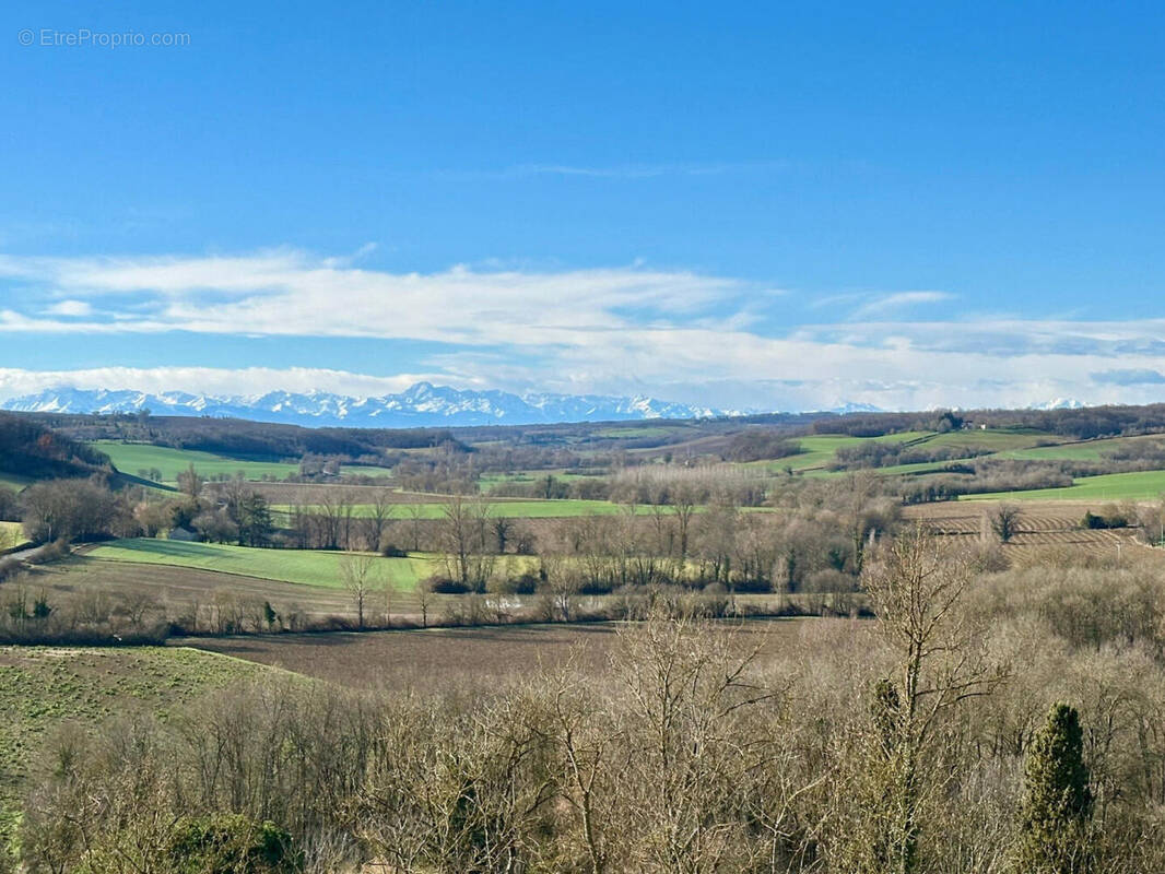 à vendre maison de village à l'est d'Auch - Maison à AUCH