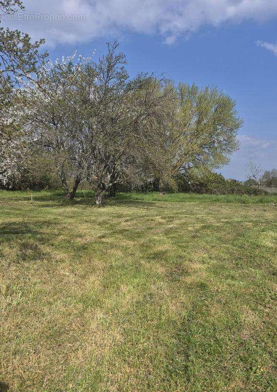 Terrain à SAINT-MEDARD-DE-GUIZIERES