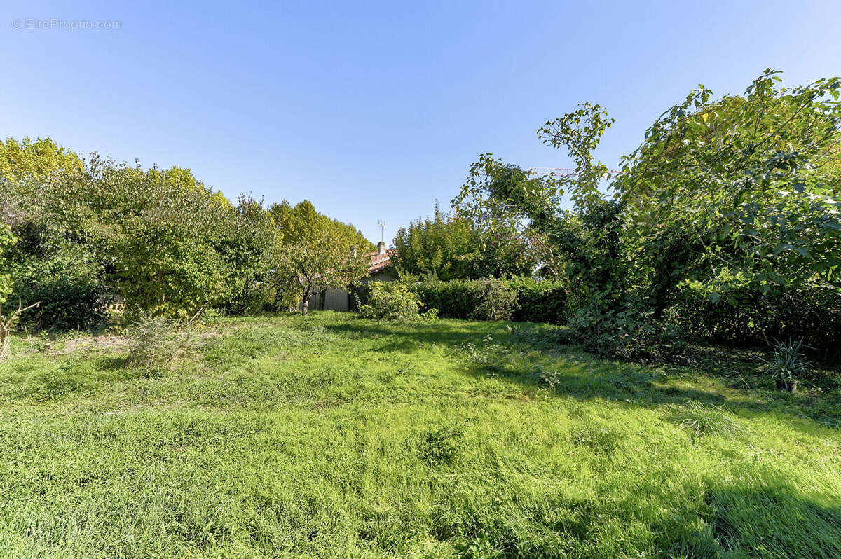 Maison familiale avec dépendances et grand terrain - Labastide-Saint-Pierre (82370) - photo 10