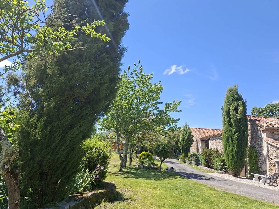 Maison à ROQUECOURBE