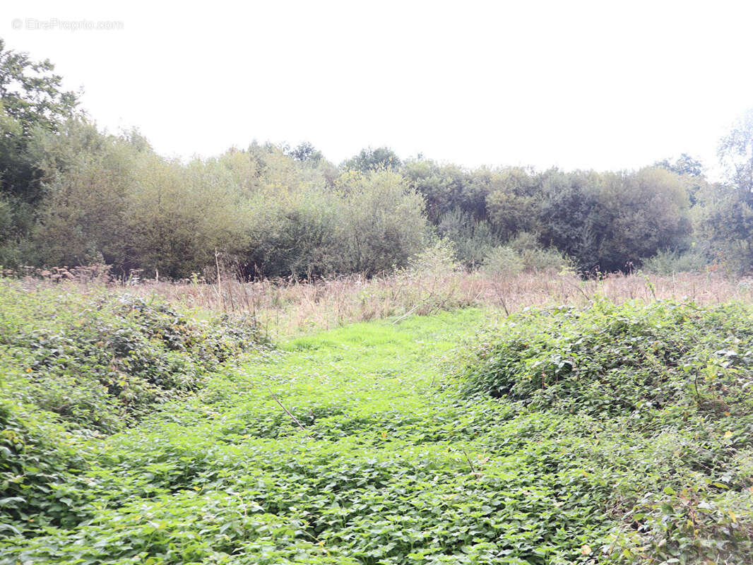 Maison à SAINT-BARTHELEMY