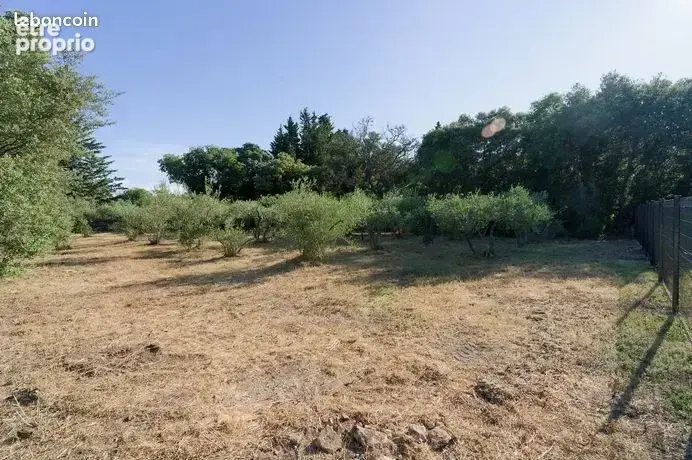 Terrain 1 680 m² à vendre à Villevieille (30250) - photo 2
