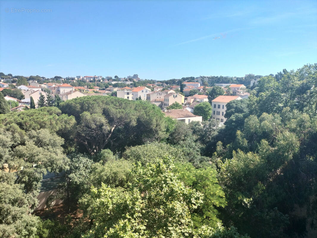 Toulon - l'aguillon - photo 2