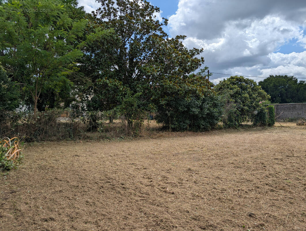 Terrain à CHANTEMERLE-LES-BLES