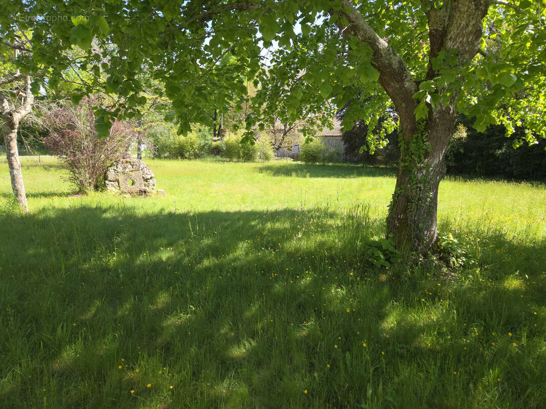 Terrain à SAUGNACQ-ET-MURET
