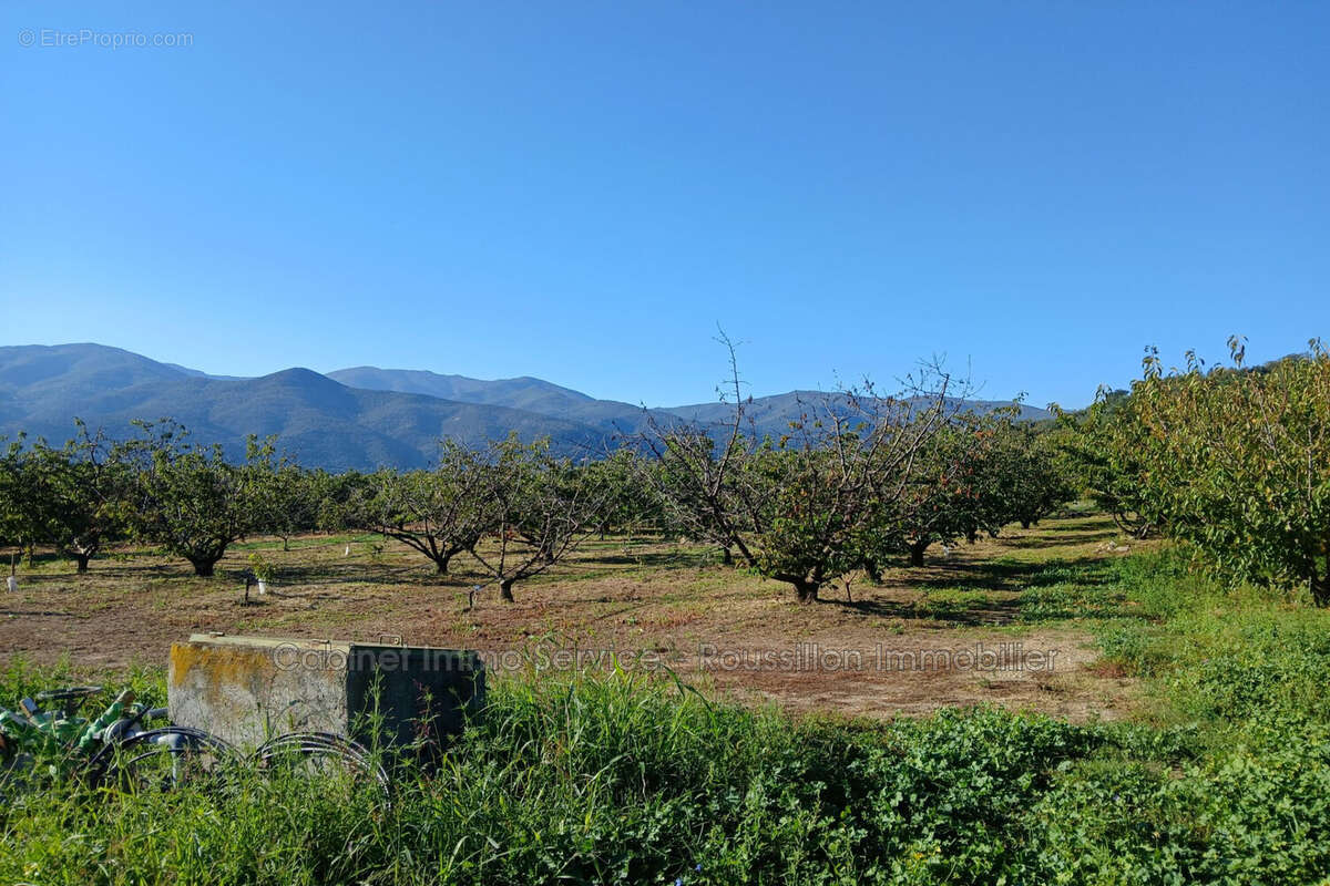 Terrain à CERET